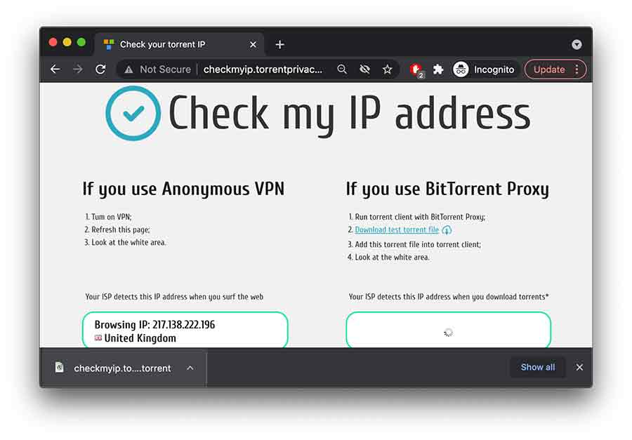 check torrent IP 02