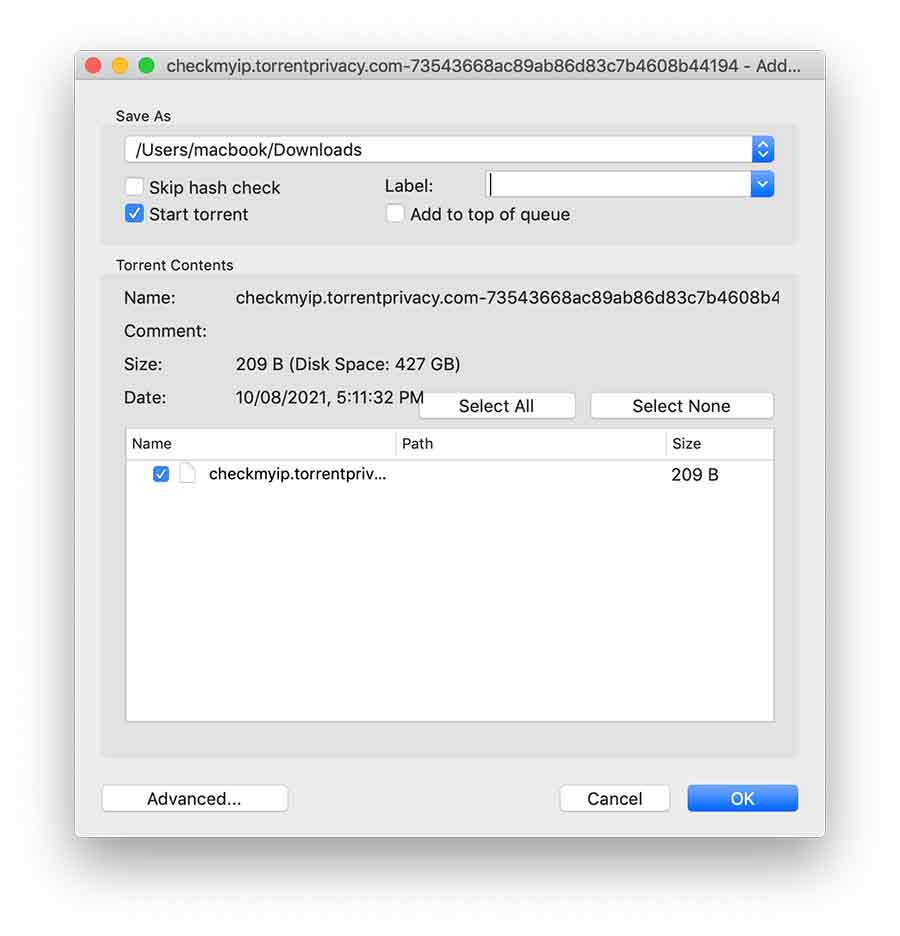 check torrent IP 03